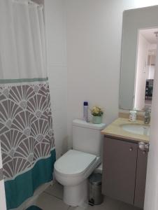 a bathroom with a toilet and a shower curtain at Departamento 2 Dormitorios Valparaiso in Valparaíso +10 photos