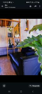 una sala de estar con un sofá azul y plantas en Departamento katzen, en Alta Gracia