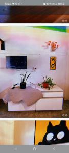 2 fotos de un dormitorio con una cama con plantas en Departamento katzen, en Alta Gracia