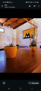 una imagen de una habitación con una mesa con dos plantas en Departamento katzen, en Alta Gracia 1 foto más