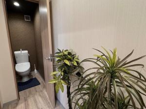 Phòng tắm tại IROHA彩叶三室一厅独栋小楼民宿with direct access from Kansai Airport! +26 ảnh