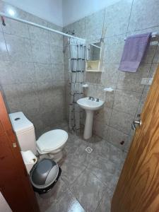 a bathroom with a toilet and a sink and a shower at Luci Alojamiento in Uspallata