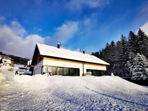 Villa in Cerny Dul near Ski Resort v zimě