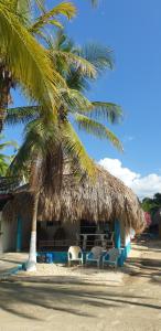 a straw hut with chairs and a palm tree at Cabañas La Cuchita RNT 61621 in Coveñas