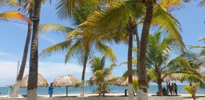 a group of palm trees on the beach at Cabañas La Cuchita RNT 61621 in Coveñas
