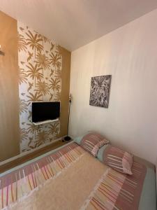 a small room with a bed and a flat screen tv at Coin cosy in Saint-Brieuc