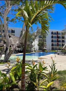 a palm tree in front of a swimming pool at Depa los robles fracc aldea hortus in Naranjo