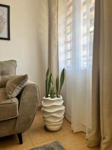 a living room with a chair and a plant at Tranquil Luxury Stay, Utawala, JKIA View in Nairobi