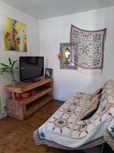 TV a/nebo společenská místnost v ubytování Terra-Crystal