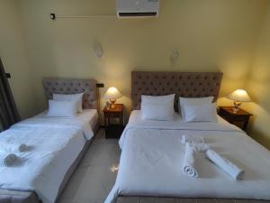 Postel nebo postele na pokoji v ubytování Villa Infinity Negombo