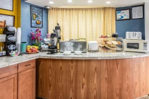 een keuken met een aanrecht met een magnetron bij Econo Lodge Inn & Suites Macon North in Macon