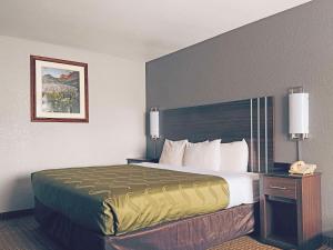 Postel nebo postele na pokoji v ubytování Quality Inn Durango