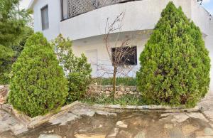 A garden outside Sounio Studio refurbished
