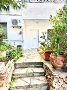 Zahrada ubytování Sounio Studio refurbished