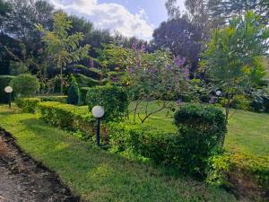 Vườn quanh Kioka vacation home 2 bedroom