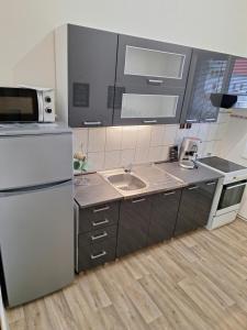 Η κουζίνα ή μικρή κουζίνα στο IVETA apartmán +21 φωτογραφίες