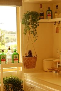 Φωτογραφία από το άλμπουμ του Xanh House XVNT σε Da Thanh +50 φωτογραφίες
