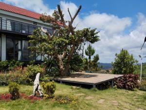 Zahrada ubytování Đồi Mây Homestay Bảo Lộc