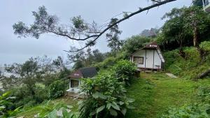 Zahrada ubytování Radiance Art Residency Poombarai Kodaikanal