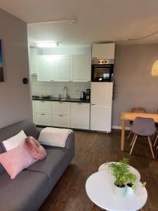 德科赫Heerlijk appartement op Texel vlakbij bos en zee.的客厅里有一张沙发和一个厨房