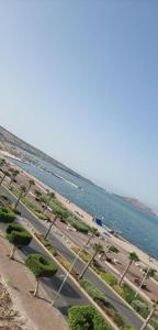 Naturlandskabet i nærheden af lejligheden