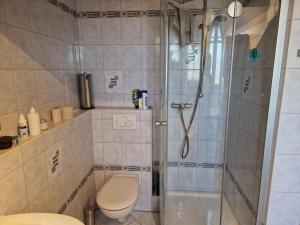 a bathroom with a shower and a toilet at Ferienwohnung Storchenblick in Raisting +25 photos