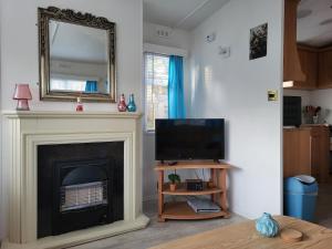 Μια τηλεόραση ή/και κέντρο ψυχαγωγίας στο Gezellig chalet op de Veluwe met omheinde tuin