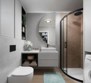 a bathroom with a toilet and a sink and a mirror at NOVIGRAD Ema 2 in Novigrad Istria