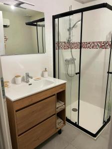 a bathroom with a sink and a shower at Loft spa, cour arrière privée in Labruguière