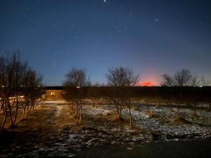 海拉Gaddstaðir 32的一场火在野外上燃烧