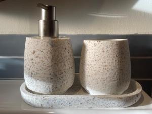 two toilet paper dispensers sitting on a shelf at Holiday cottage de Garage Inn in Hank +36 photos