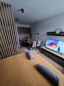 a living room with a television and a living room with a couch at TomaR-Gondola in Kopaonik +8 photos