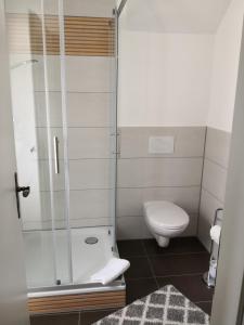 a bathroom with a shower and a toilet at Stilvolle Altbauwohnung Apartment Zimt & Zucker in Höhr-Grenzhausen