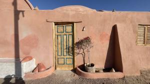 una porta sul lato di un edificio con una pianta di Massel Belosso a Aswan