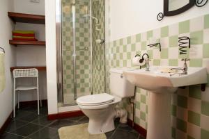 a bathroom with a toilet and a sink and a shower at Tan-yr-Onnen Llangrannog in New Quay +24 photos