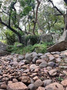 Gallery image of Wild Antelope on your doorstep! in Nelspruit
