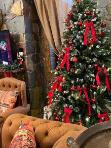 Un árbol de Navidad con arcos rojos. en Qahramanoffshale, en Gabala