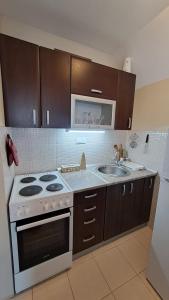 Kuchyň nebo kuchyňský kout v ubytování Apartman Sunčana dolina, Zaovine