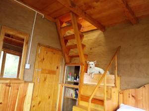 Knihovna v prázdninového domu