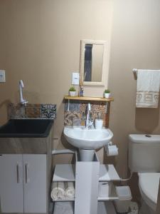 a bathroom with a sink and a mirror and a toilet at Tiny House Novas Palmeiras in Florianópolis +23 photos