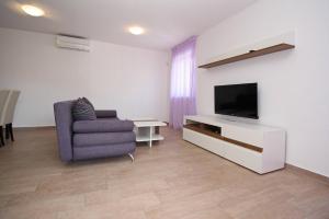 TV a/nebo společenská místnost v ubytování Apartments Smojver Stipe