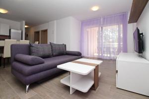 TV a/nebo společenská místnost v ubytování Apartments Smojver Stipe