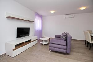 TV a/nebo společenská místnost v ubytování Apartments Smojver Stipe