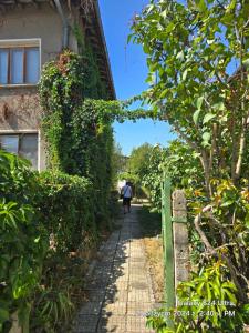 a person walking down a path next to a building at Вила Драгоман in Dragoman +12 photos