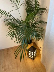 Fotografie z fotogalerie ubytování Ferienwohnung Rickelhoff v destinaci Olpe