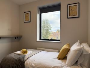 En eller flere senge i et værelse på Buxton Road Suites + 20 billeder