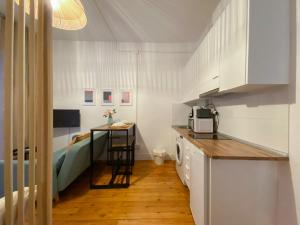 Η κουζίνα ή μικρή κουζίνα στο Victoria Studio I +8 φωτογραφίες