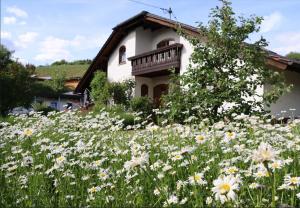 ein Blumenfeld vor einem Haus in der Unterkunft Ferienwohnung Weinbergsliebe in Rümmelsheim