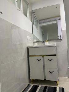 博卡拉Ashish Service Apartment - S3的带水槽和镜子的浴室