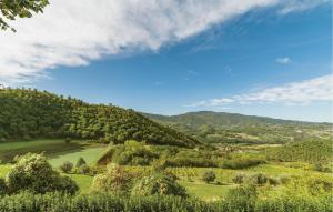 a view of a valley with trees and mountains at 6 Bedroom Amazing Home In Dicomano in Dicomano